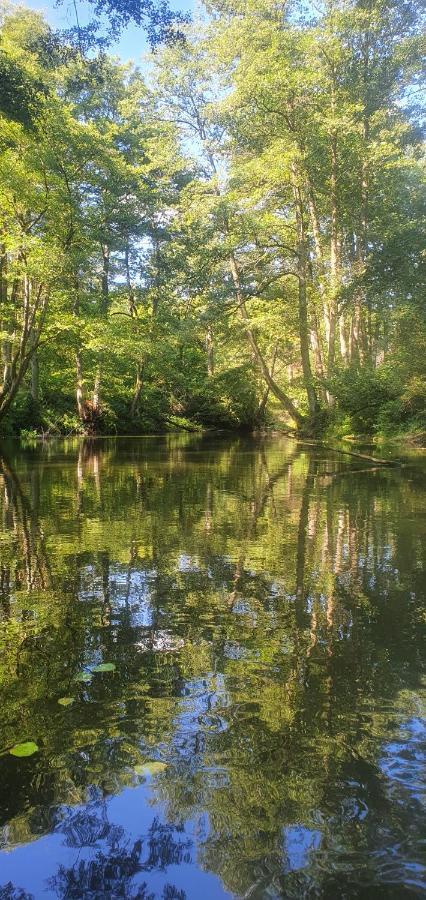 Domki Przy Obrze Skwierzyna Buitenkant foto